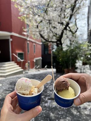 Tiny ice-cream  at Premium SOW in Tokyo