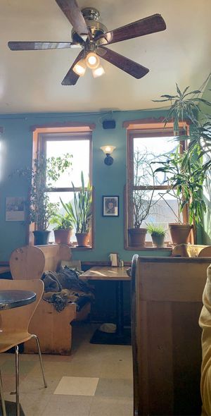 Back seating at Seward Cafe in Minneapolis