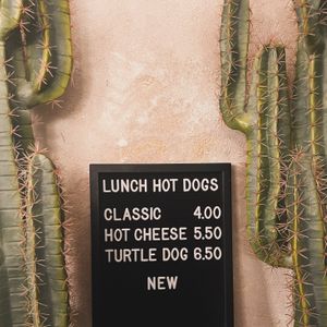  at Hungry Turtle in Ulm