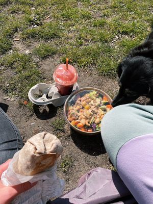 Vegan wrap and bowl  at KAUAI in Utrecht