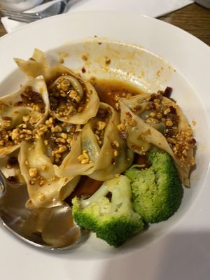 Dumplings  at Veggie House  in Chicago