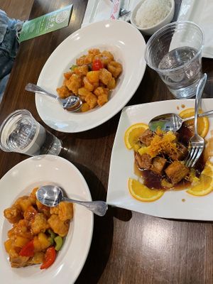   at Veggie House  in Chicago