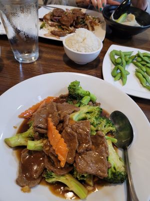Mongolian beef up top and beef and broccoli on the bottom at Veggie House  in Chicago