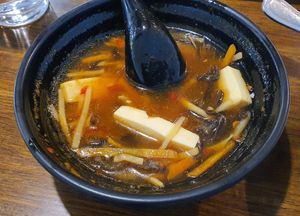 Hot and Sour Soup (good but too hot for me lol) at Veggie House  in Chicago