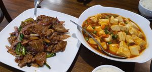 5 stars Mongolian Soy not Beef (left) and Mapo Tofu (right) at Veggie House  in Chicago