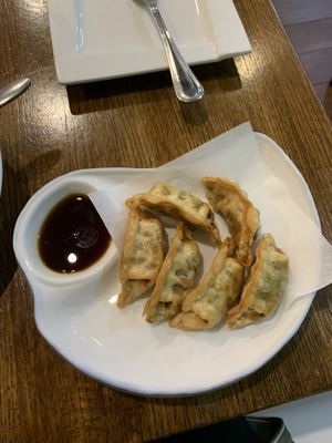 Fries vegetable pot stickers  at Veggie House  in Chicago