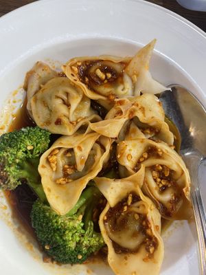 Spicy dumplings   at Veggie House  in Chicago