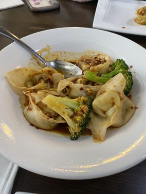 Spicy Dumplings  at Veggie House  in Chicago