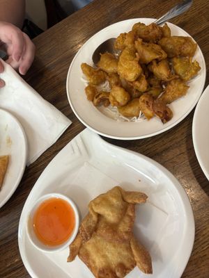 Mushrooms & crab ragoon 7/10 but very oily due to being fried which is to be expected! Just heavy on the tummy  at Veggie House  in Chicago