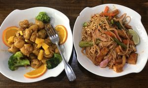 Orange Chicken and Pad Thai Noodles  at Veggie House  in Chicago