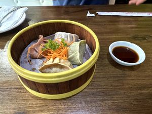 Veggie House Dumplings (we both thought the Spinach one was the best) at Veggie House  in Chicago