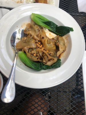 Spicy Vegetable Dumplings  at Veggie House  in Chicago
