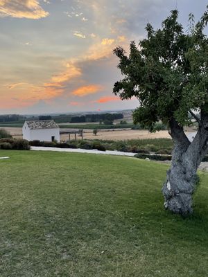 The sunsets here!!!! 😍  at Vivi Vinu by Kapuhala in Noto