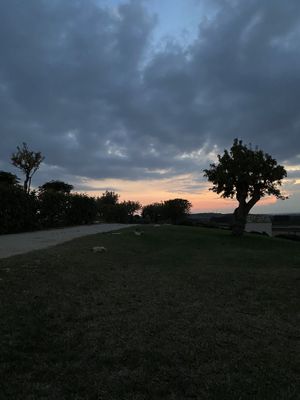   at Vivi Vinu by Kapuhala in Noto