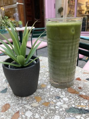 Iced matcha latte with oat milkk  at WOOOW Matcha in Belgrade