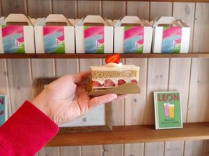 A light yet lucious cake! at hal okada - vegan sweets lab in Tokyo