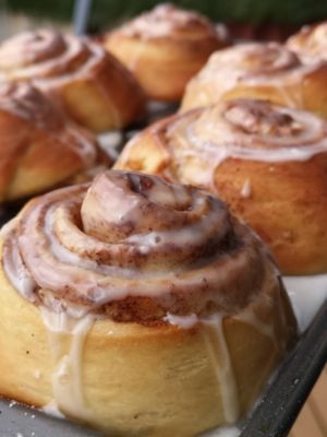  at The Green Kitchen in Newport