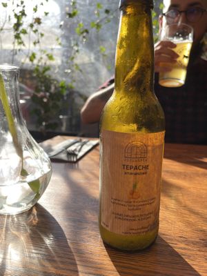 Homemade tepache  at Szklarnia Warszawa in Warsaw