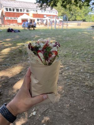 All vegan kebab. Amazing!!!  at The Big Kebabski in Starcross