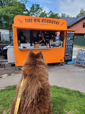  at The Big Kebabski in Starcross