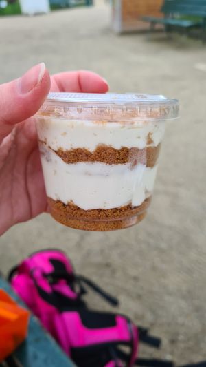 Vegan dessert - wasn't on the menu, vegan whipped cream and speculos.  at La Mia Pizza in Paris