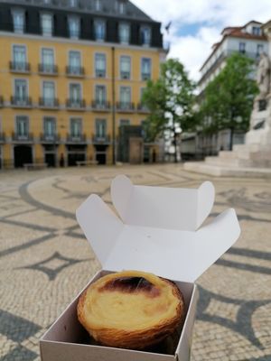 Vegan nata at Vegan Nata - Chiado in Lisbon