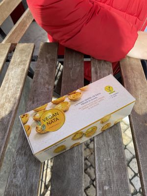 Box of 6  at Vegan Nata - Chiado in Lisbon