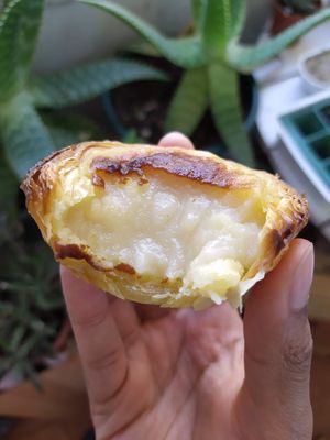 Creamy custard   at Vegan Nata - Chiado in Lisbon