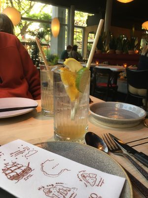 Citrus Movement Lemonade  at HANNO Groots Café in Delft