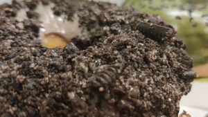  at La Beignerie in Montreal