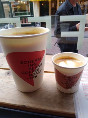 Oat latte and cortado at Screaming Beans in Amsterdam