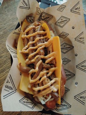 Vegan dog at Wijnhaven in Delft