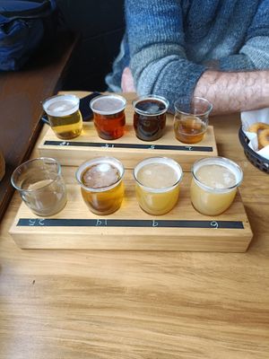 Tasting paddle! Vegan beers! at Beech Tree Craft Beer in Queenstown
