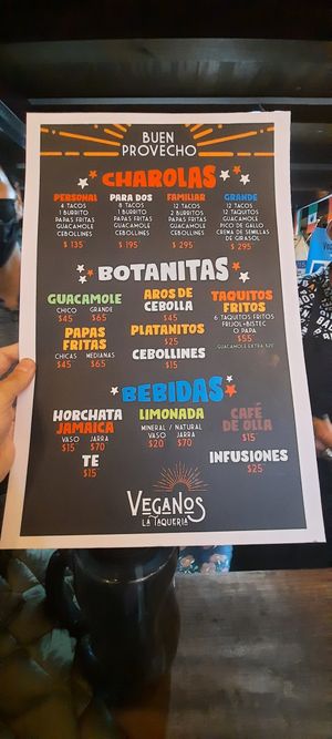 Menu at Veganos La Taqueria in San Cristobal De Las Casas