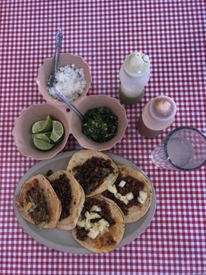 Vegan mixed tacos  at Veganos La Taqueria in San Cristobal De Las Casas
