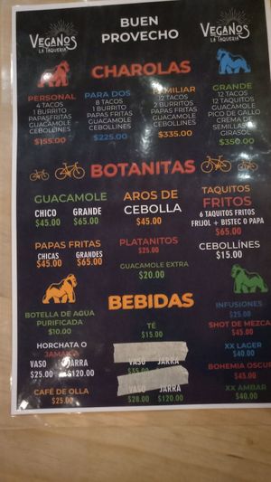Carta por detras at Veganos La Taqueria in San Cristobal De Las Casas