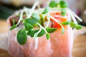 Jungle at Oplante in Laval