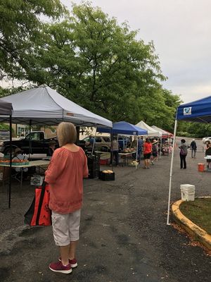 Entering the market  at Oberlin Farmers Market in Oberlin