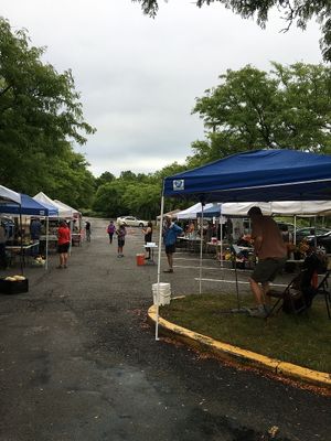 Market view at Oberlin Farmers Market in Oberlin