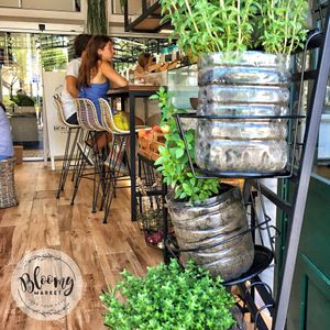 Inside bloomy at Bloomy Market in Setubal