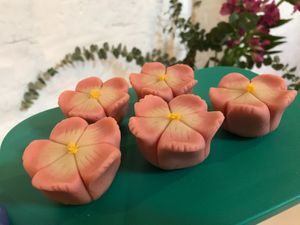 Nerikiri "Nadeshiko" (Goździk okazały) at Kotonoha in Torun