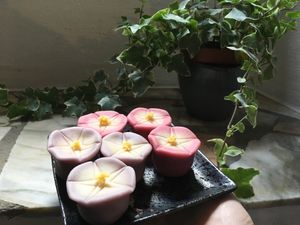 Nerikiri "Morning glory" (Powój) at Kotonoha in Torun