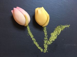 Nerikiri for International Women's Day 2021 at Kotonoha in Torun