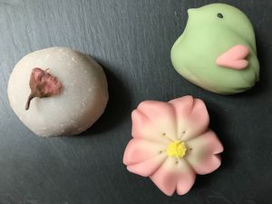 Sakura Daifuku & Spring Nerikiri at Kotonoha in Torun