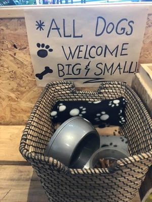 Dog-friendly at Edge Coffee in Holywood