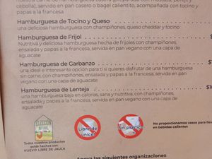 Vegan veggie burgers at ChocoBanana in Sayulita