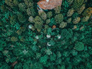 Aerial view at The Botanist in Banjar