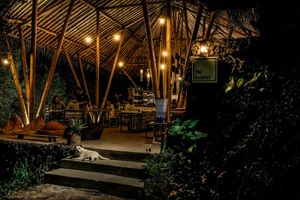 Night scenery at The Botanist in Banjar