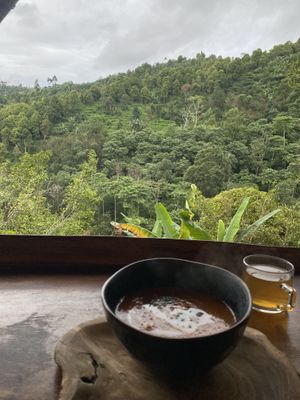   at The Botanist in Banjar