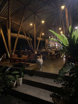   at The Botanist in Banjar